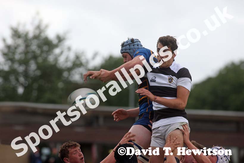 Tynedale Schools Rugby 25